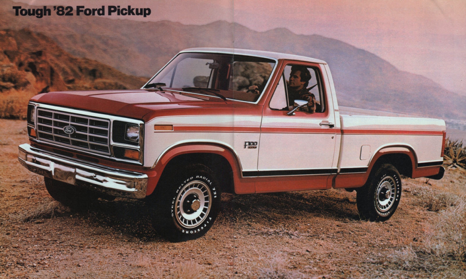 n_1982 Ford Pickup-02-03.jpg
